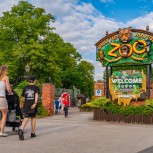 Drayton Manor Resort