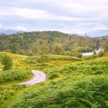 Tarn Hows- Valley