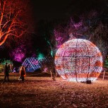Chelsea Winter Illuminations