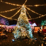 Chelsea Winter Illuminations