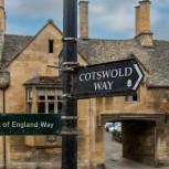 Blenheim Palace Day Tour with Cotswolds or Churchill War Rooms from London