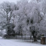 Cotswolds