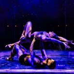 Magic Mike Live