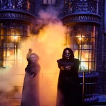 DiagonAlley Ollivanders