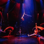 Come Alive! The Greatest Showman Circus Spectacular