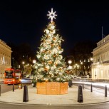 Waterloo Place Christmas Tree