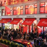 Christmas Lights London by Night Tour with Live Guide