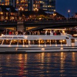 Flag Free Night Cruise Beneath the Bridge