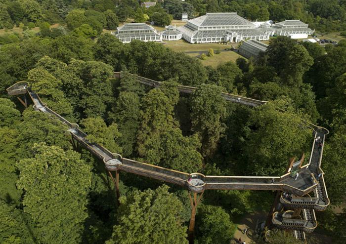 Treetop Walkway