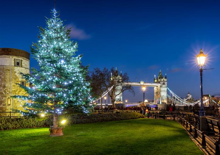 London Christmas Lights Tour 2021 Az