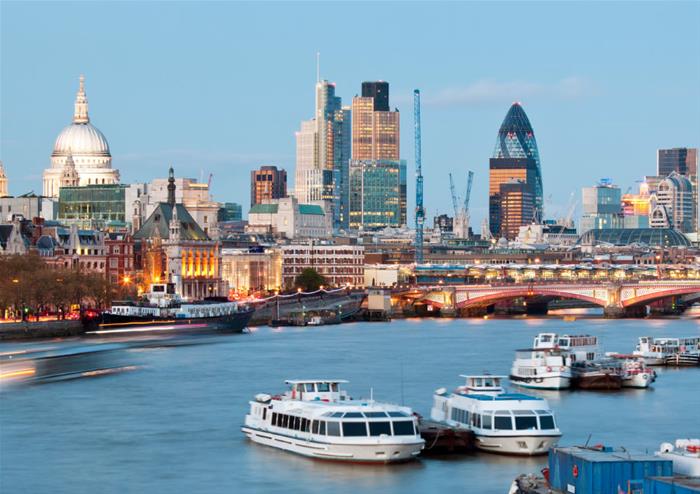 Sightseeing Cruise on the Thames