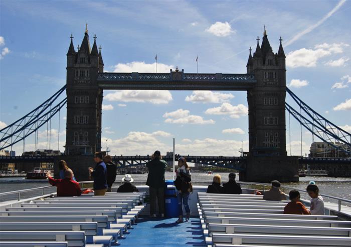 Sightseeing Cruise on the Thames