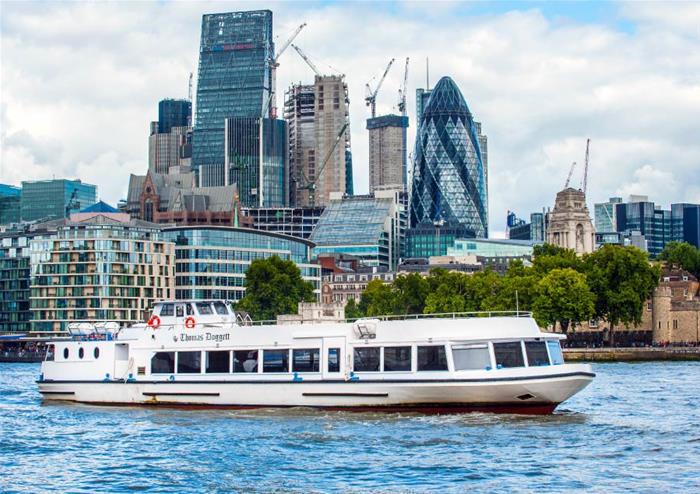 Sightseeing Cruise on the Thames