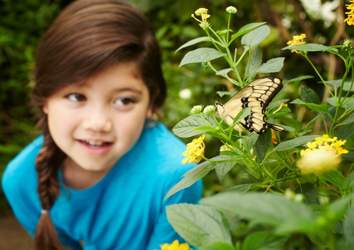 Butterfly House