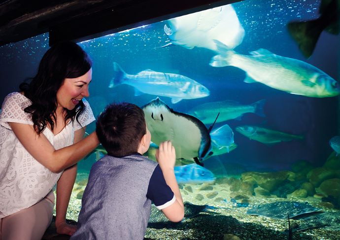 Sea Life London Aquarium