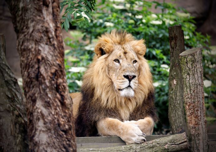 london zoo vip tour