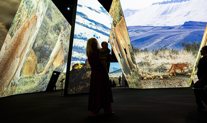 BBC Earth Experience