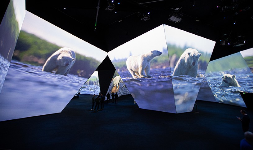 BBC Earth Experience