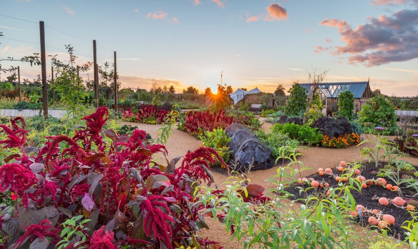 Garden Wisley