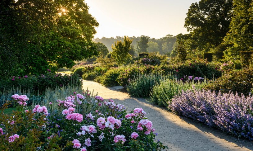 Garden Wisley