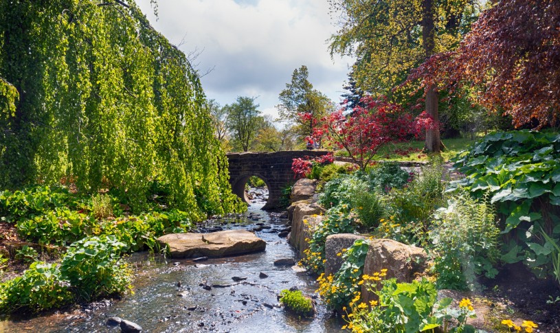 Garden Harlow Carr