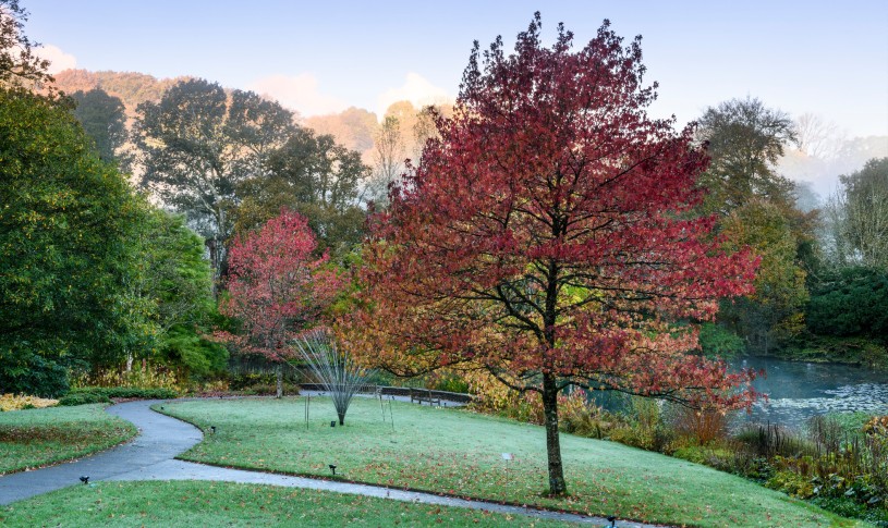 Garden Rosemoor