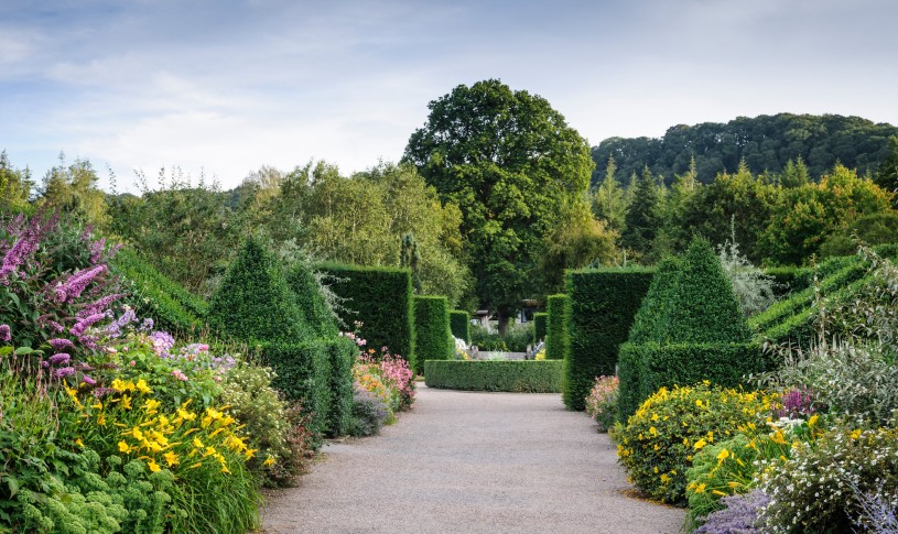 Garden Rosemoor