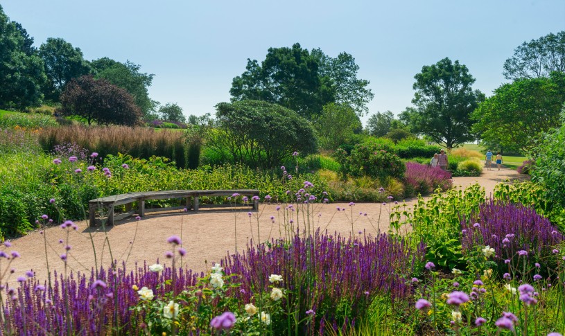 Garden Hyde Hall