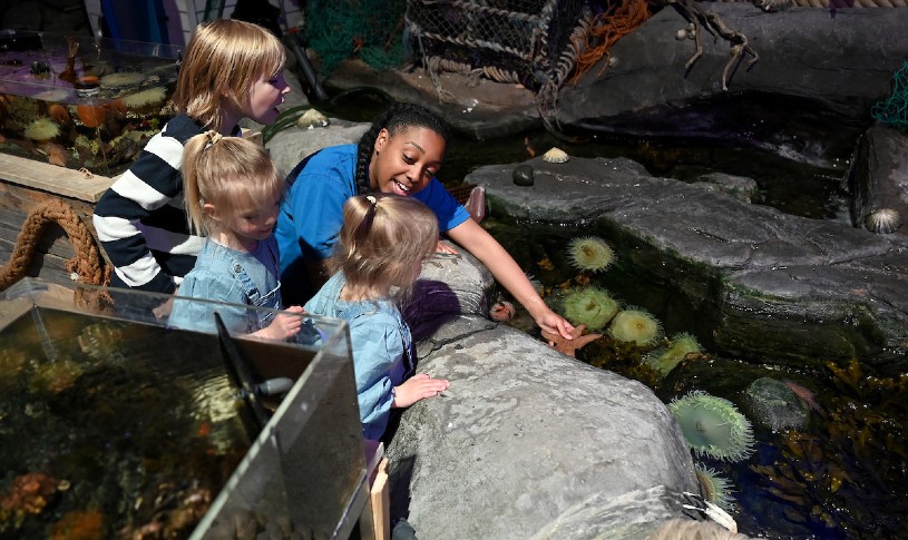 National SEA LIFE Centre Birmingham