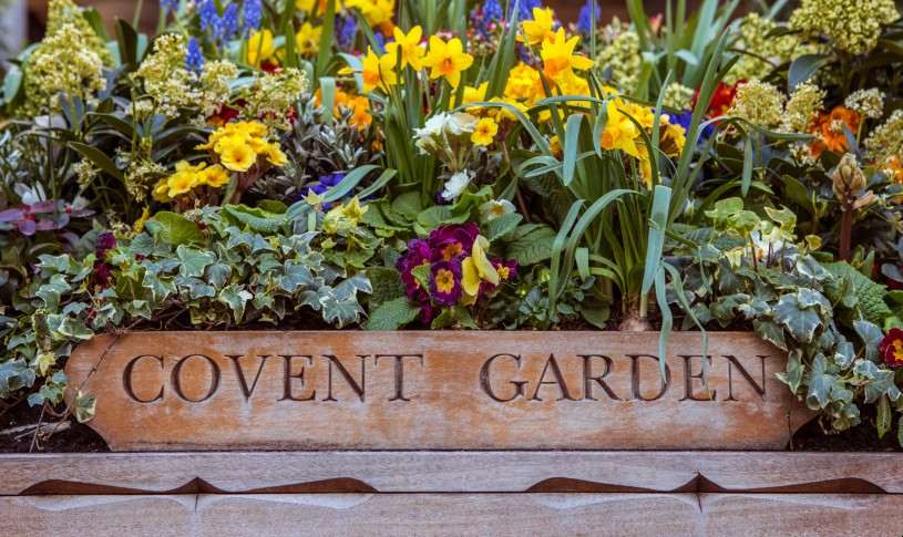 Covent Garden