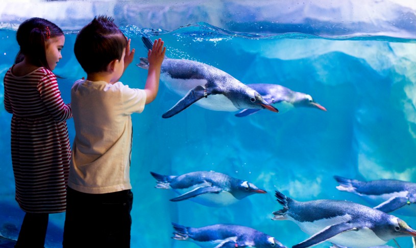 SEA LIFE London Aquarium
