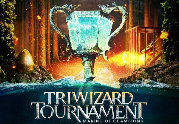 Triwizard Tournament