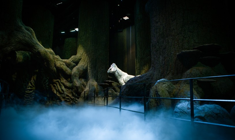 Forbidden Forest