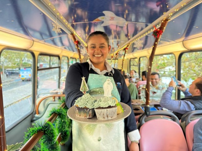 The Snowman Tea Bus Tour