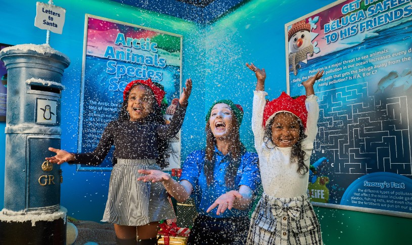 Snowy’s Conservation Crew