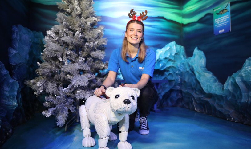 Storytime with Al the Polar Bear