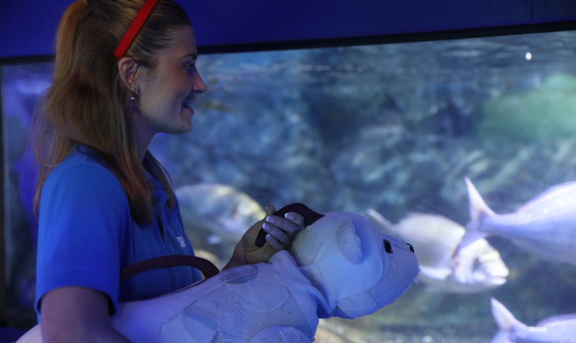 Storytime with Al the Polar Bear