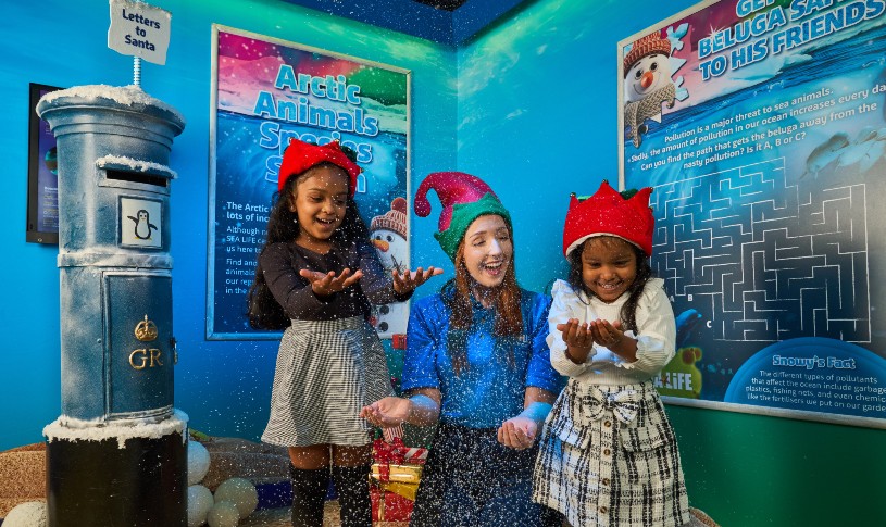 Snowy’s Conservation Crew