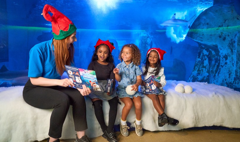 Snowy’s Conservation Crew