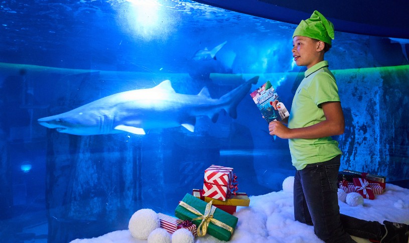 Snowy’s Conservation Crew