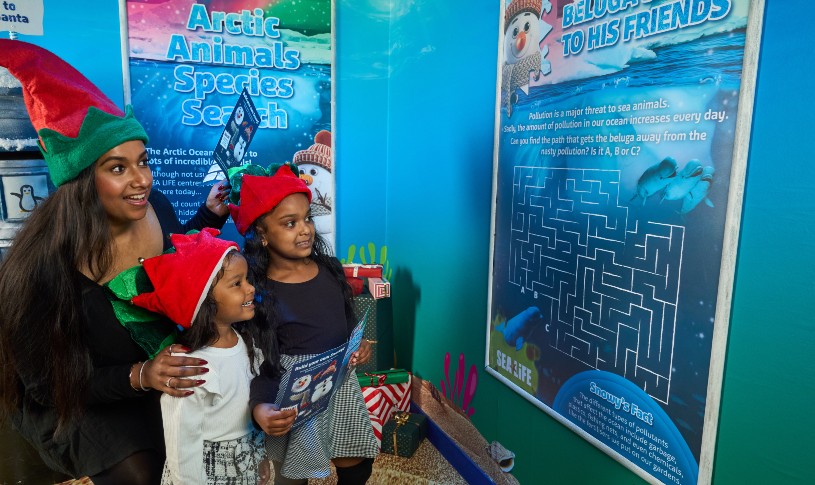 Snowy’s Conservation Crew