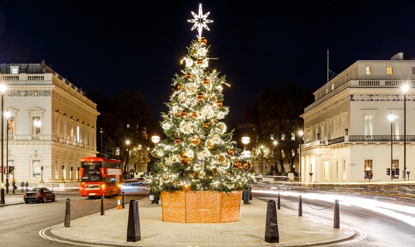 Waterloo Place Christmas Tree