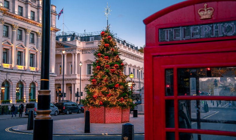 Christmas tree and a traditional Red telephone box