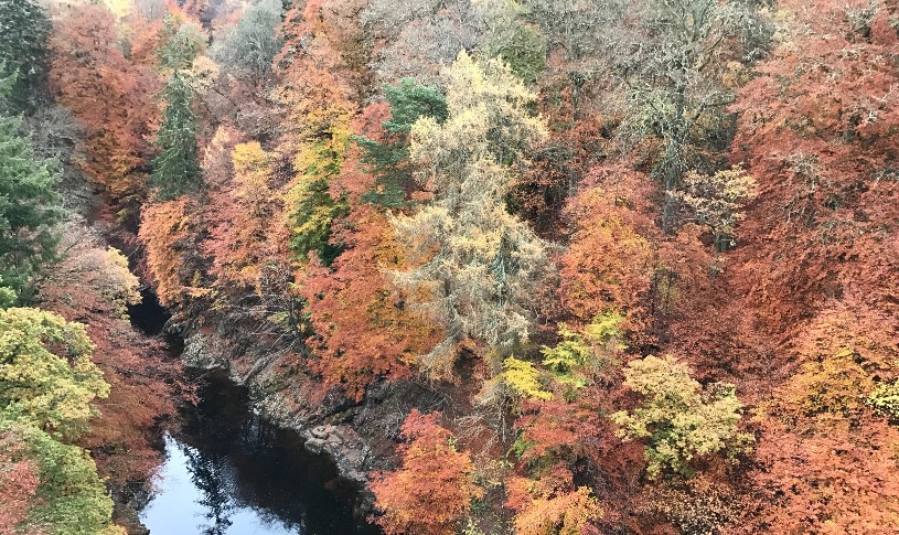 Near Pitlochry - autumn photo