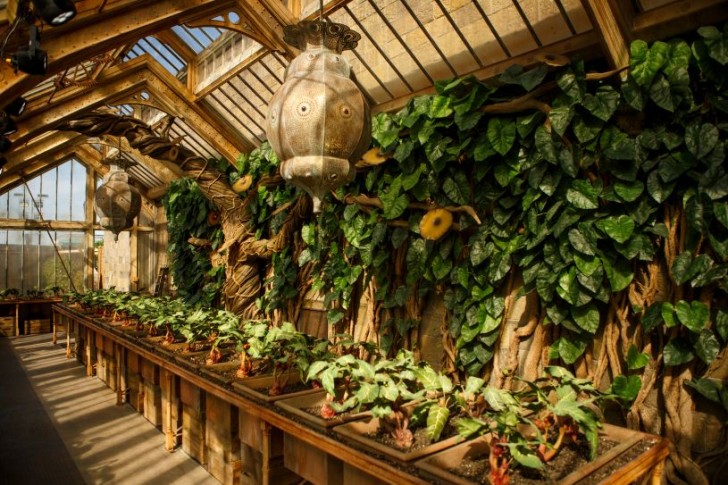 Professor Sprout's Greenhouse