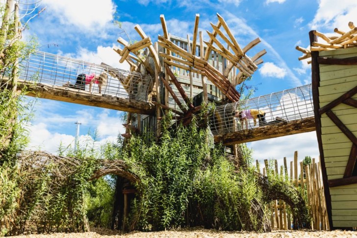 Heath Outside Summer