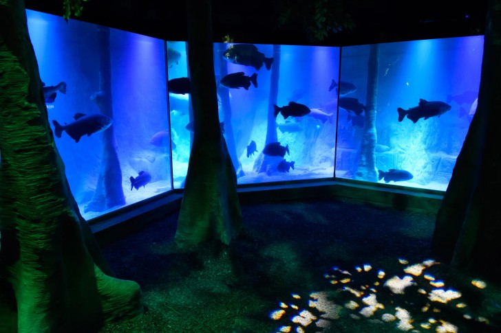 SEA LIFE London Aquarium