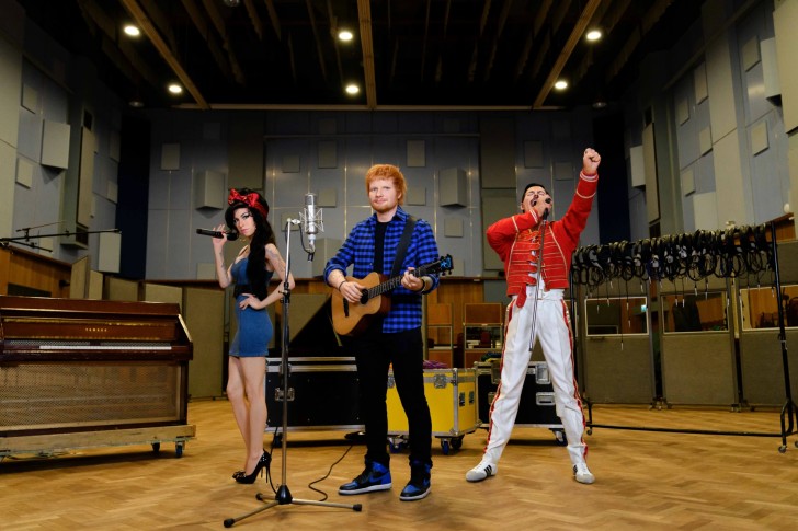 Music Festival Experience