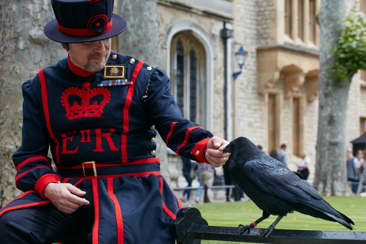 Royal London, Tower of London & Hever Castle Private Tour