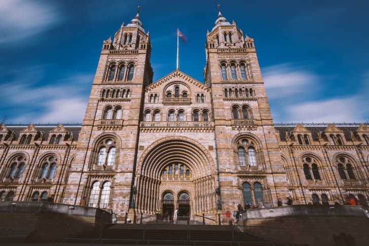 The Natural History Museum